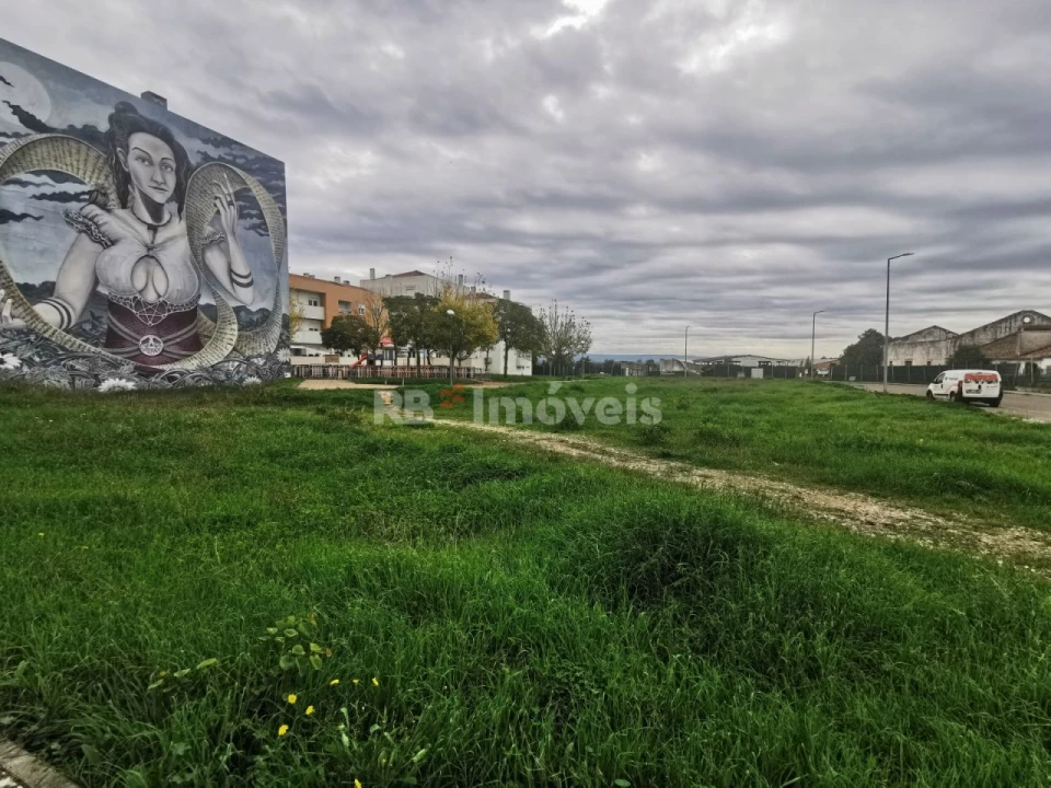 Terreno para Venda em Vila Nova da Barquinha Foto 4