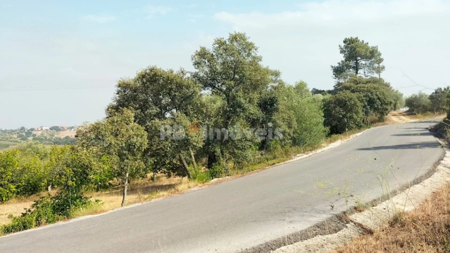 Terreno Agricola ou Rústico para Venda em Assentiz