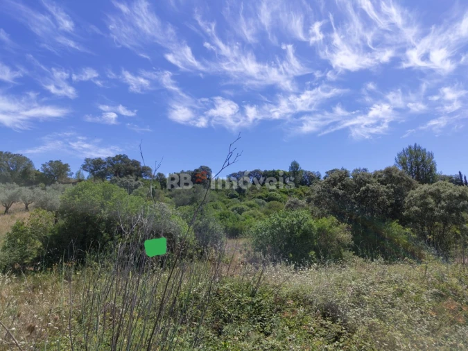 Terreno Agricola ou Rústico para Venda em Brogueira, Parceiros de Igreja e Alcorochel Foto 2