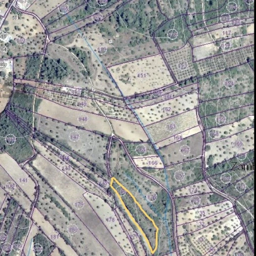 Terreno Agricola ou Rústico para Venda em Brogueira, Parceiros de Igreja e Alcorochel Foto 3