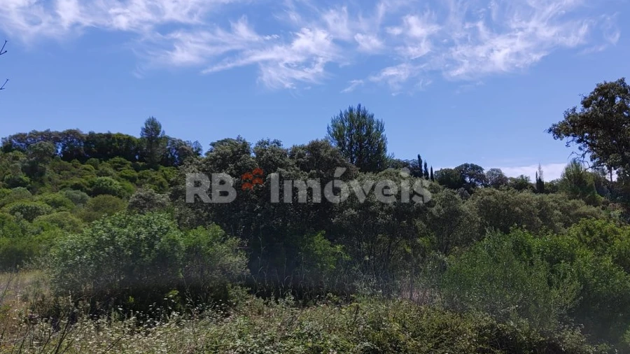 Terreno Agricola ou Rústico para Venda em Brogueira, Parceiros de Igreja e Alcorochel