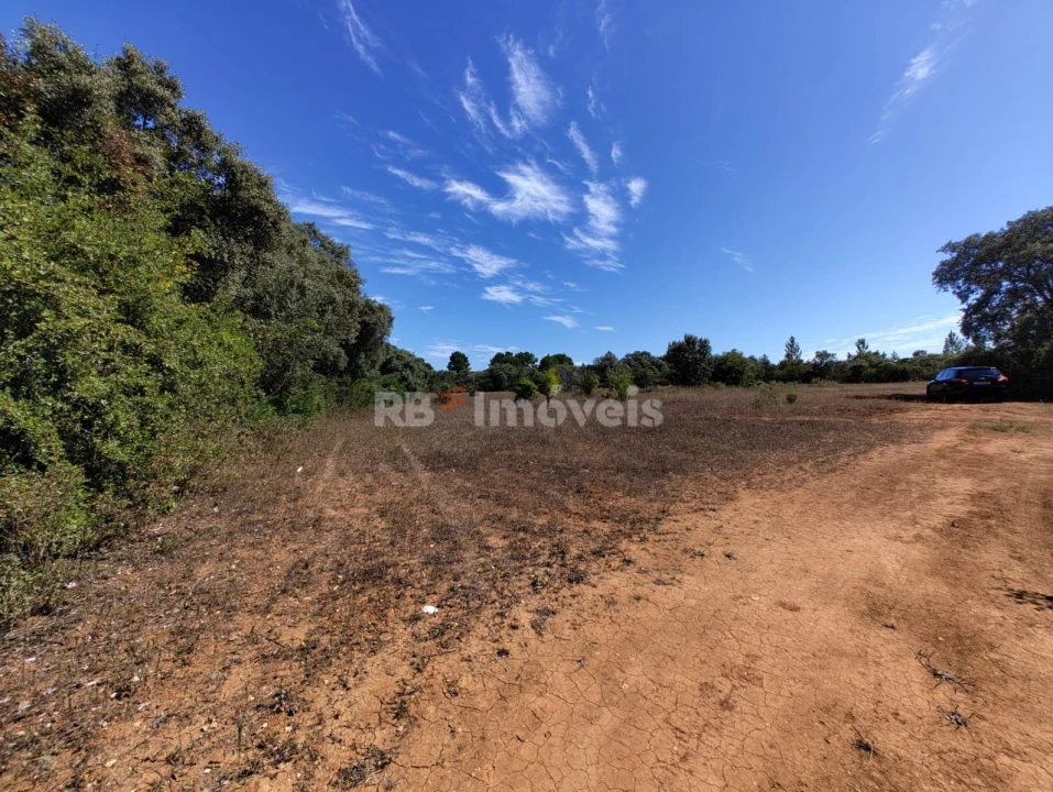 Terreno Agricola ou Rústico para Venda em Zibreira Foto 1