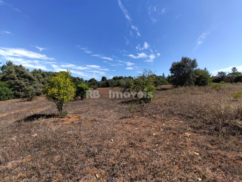 Terreno Agricola ou Rústico para Venda em Zibreira Foto 4