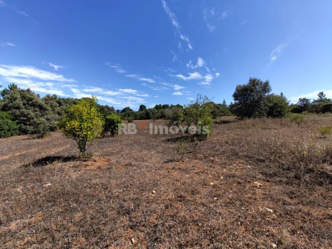 Terreno Agricola ou Rústico para Venda em Zibreira Foto 4