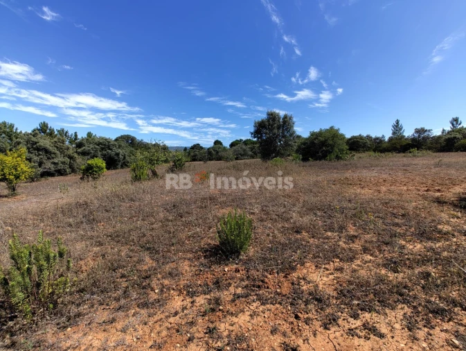 Terreno Agricola ou Rústico para Venda em Zibreira Foto 6
