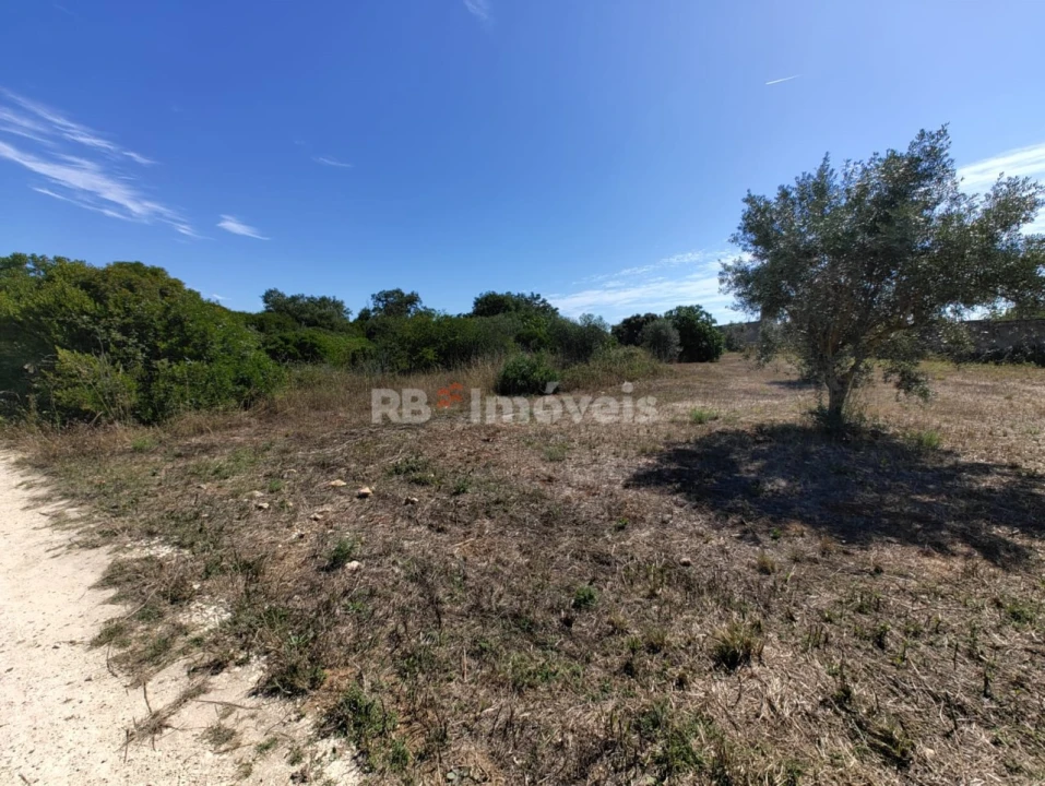 Terreno Agricola ou Rústico para Venda em Brogueira, Parceiros de Igreja e Alcorochel Foto 6