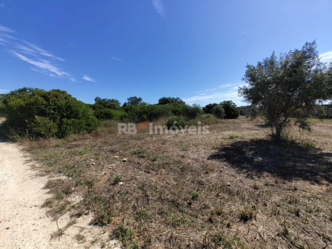 Terreno Agricola ou Rústico para Venda em Brogueira, Parceiros de Igreja e Alcorochel Foto 4