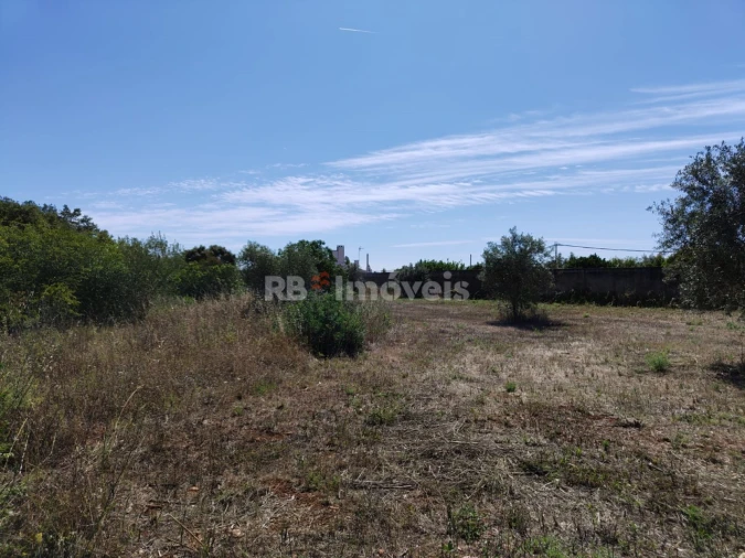 Terreno Agricola ou Rústico para Venda em Brogueira, Parceiros de Igreja e Alcorochel Foto 7