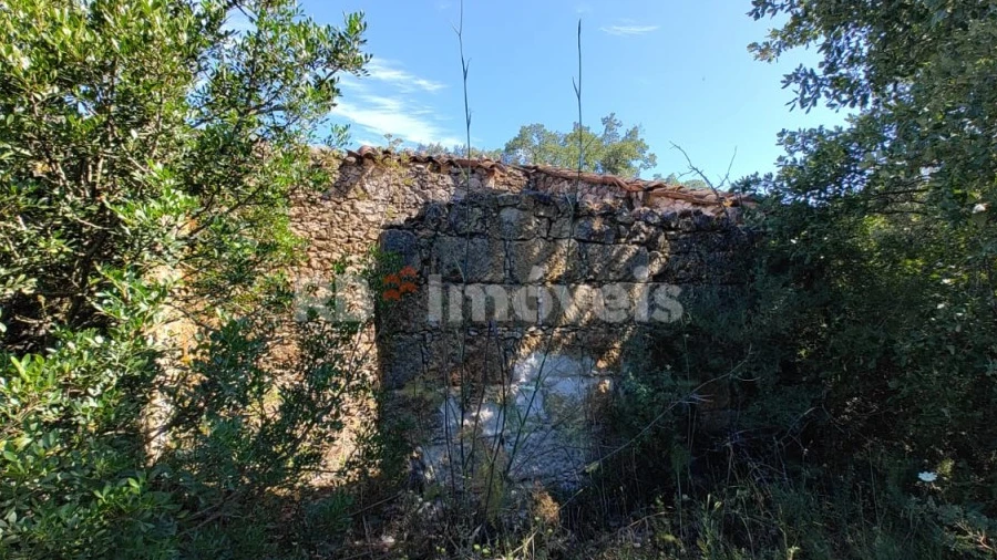 Terreno Agricola ou Rústico para Venda em Brogueira, Parceiros de Igreja e Alcorochel