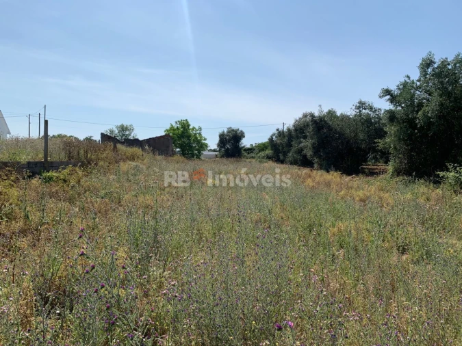 Terreno para Venda em Brogueira, Parceiros de Igreja e Alcorochel Foto 3
