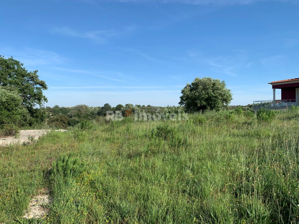 Terreno Agricola ou Rústico para Venda em Torres Novas (São Pedro), Lapas e Ribeira Branca Foto 2
