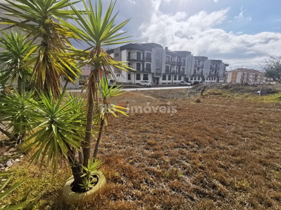Terreno para Venda em Nossa Sra de Fatima Foto 3