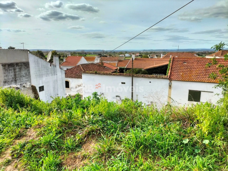 Terreno para Venda em Vale de Cavalos Foto 3