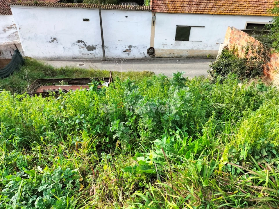 Terreno para Venda em Vale de Cavalos Foto 2