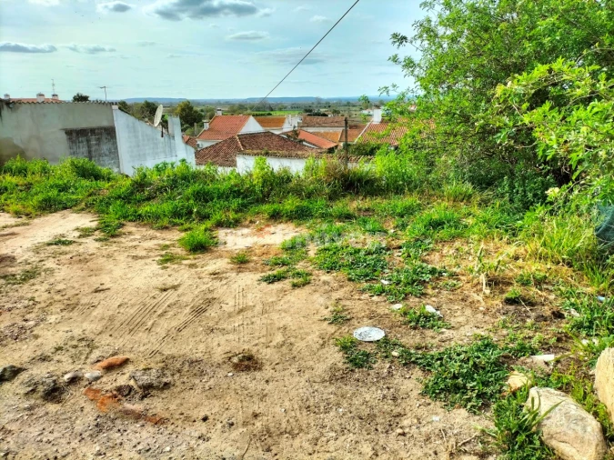 Terreno para Venda em Vale de Cavalos Foto 5