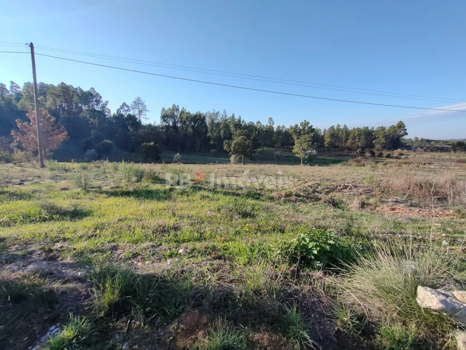 Terreno Agricola ou Rústico para Venda em Paialvo Foto 1