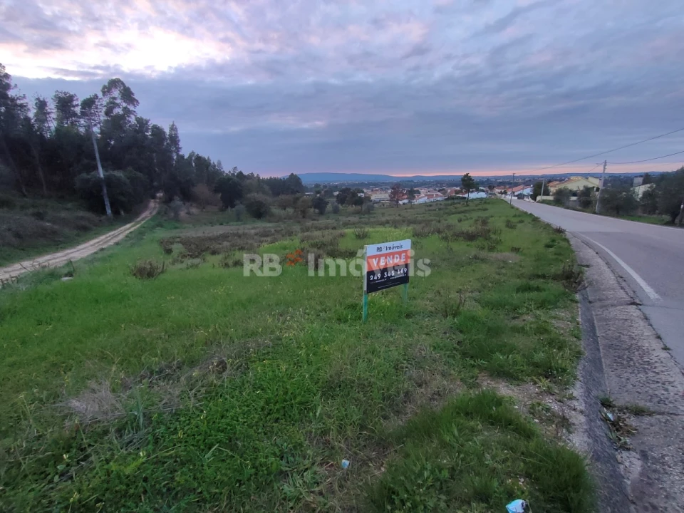 Terreno Agricola ou Rústico para Venda em Paialvo Foto 5