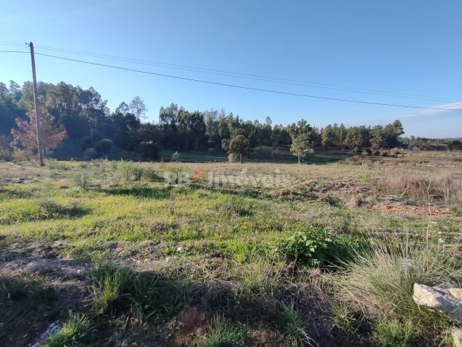 Terreno Agricola ou Rústico para Venda em Paialvo Foto 1
