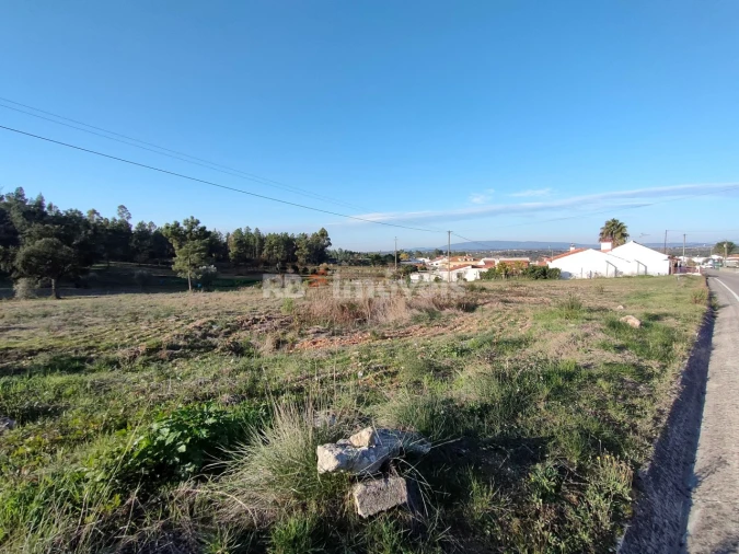 Terreno Agricola ou Rústico para Venda em Paialvo Foto 4