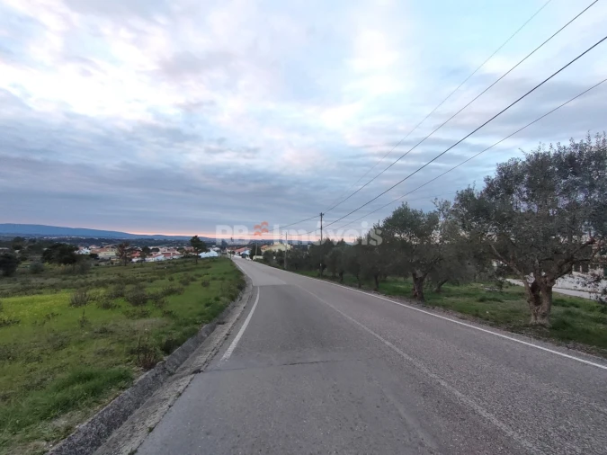 Terreno Agricola ou Rústico para Venda em Paialvo Foto 6