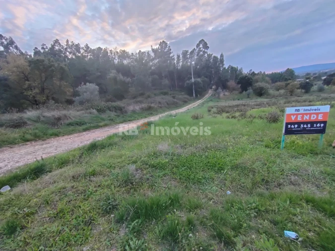 Terreno Agricola ou Rústico para Venda em Paialvo Foto 3