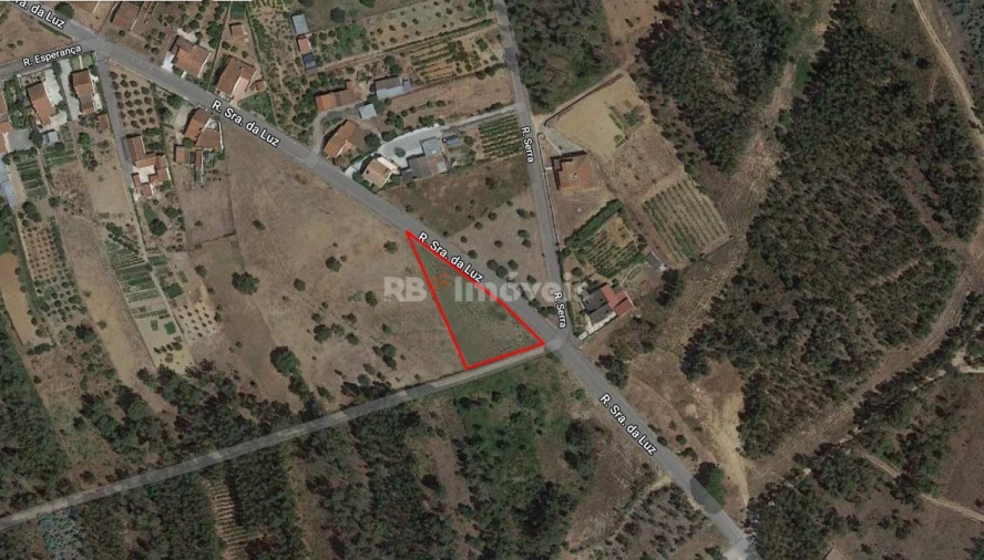 Terreno Agricola ou Rústico para Venda em Paialvo Foto 2