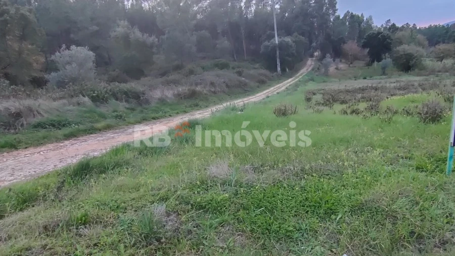 Terreno Agricola ou Rústico para Venda em Paialvo