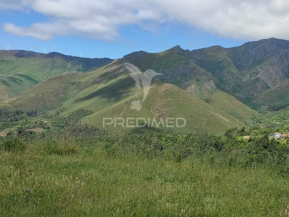 Quinta para Venda em Medrões Foto 3