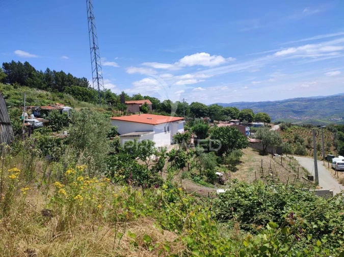 Quinta para Venda em Medrões Foto 18