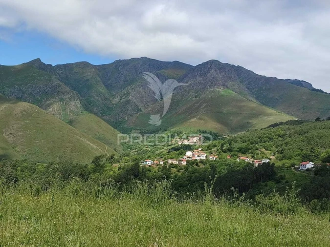 Quinta para Venda em Medrões Foto 9