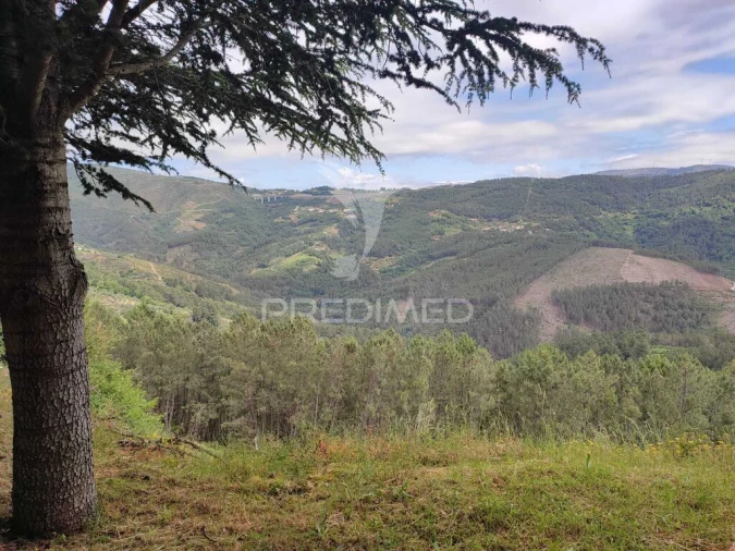 Quinta para Venda em Medrões Foto 6