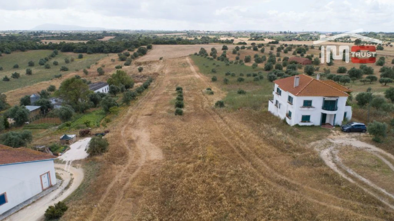 Terreno Agricola ou Rústico para Venda em Almoster Foto 2