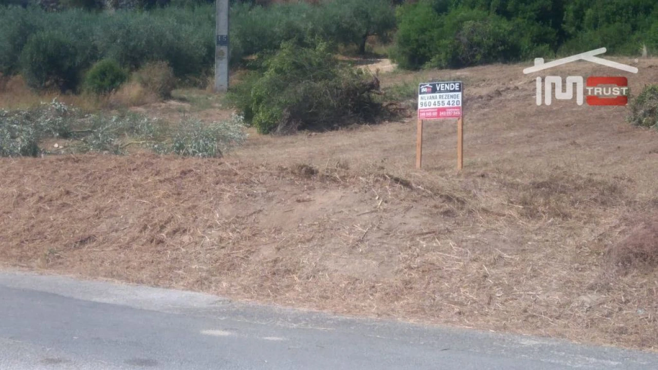 Terreno Agricola ou Rústico para Venda em Almoster Foto 6