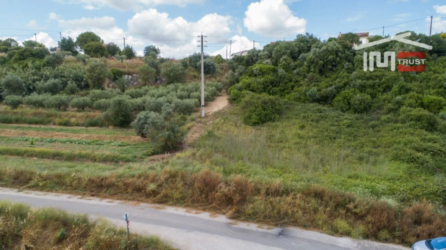 Terreno Agricola ou Rústico para Venda em Almoster Foto 3