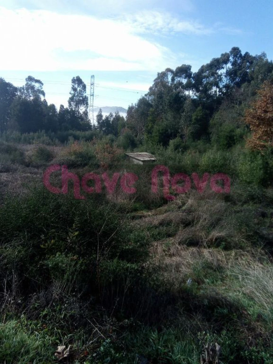 Terreno Misto para Venda em Luzim e Vila Cova Foto 5