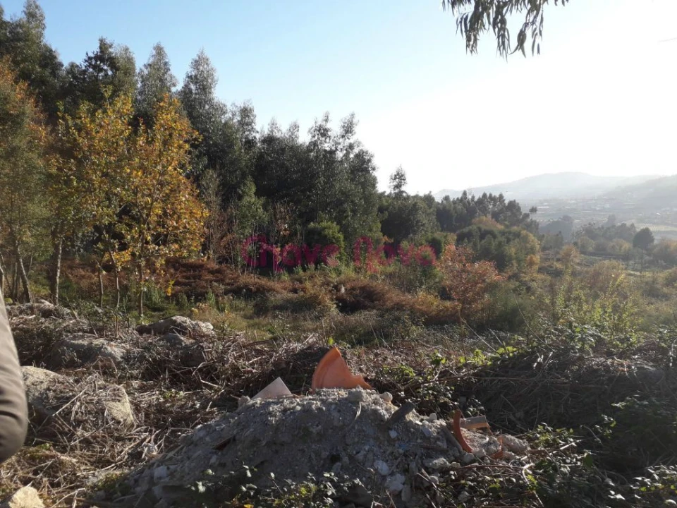 Terreno Misto para Venda em Luzim e Vila Cova Foto 3
