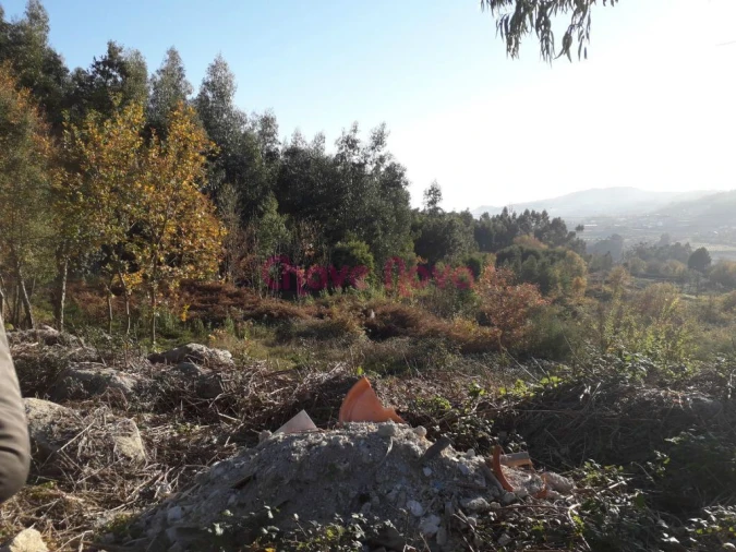 Terreno Misto para Venda em Luzim e Vila Cova Foto 3