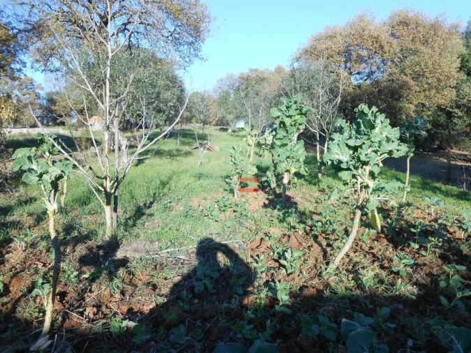 Moradia T3 para Venda em Fatima Foto 14