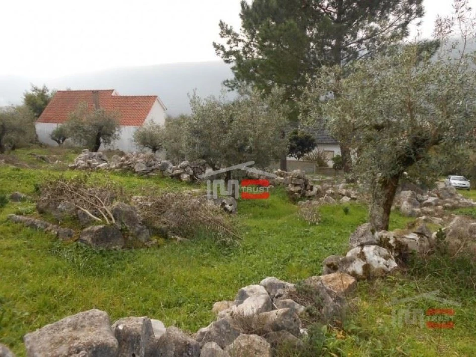 Terreno Misto para Venda em Mira de Aire Foto 2