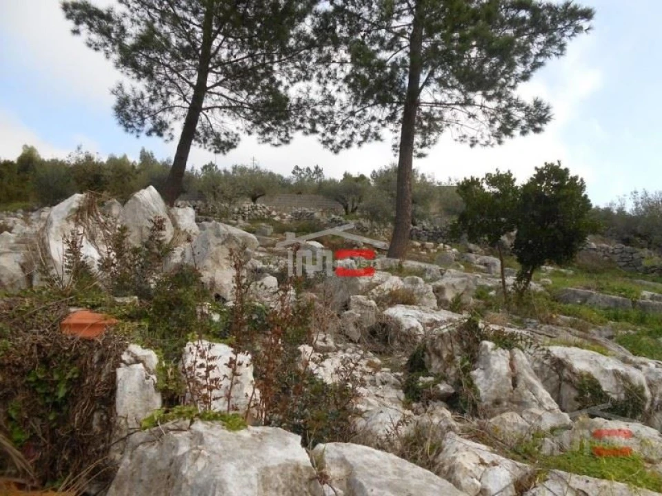 Terreno Misto para Venda em Mira de Aire Foto 3