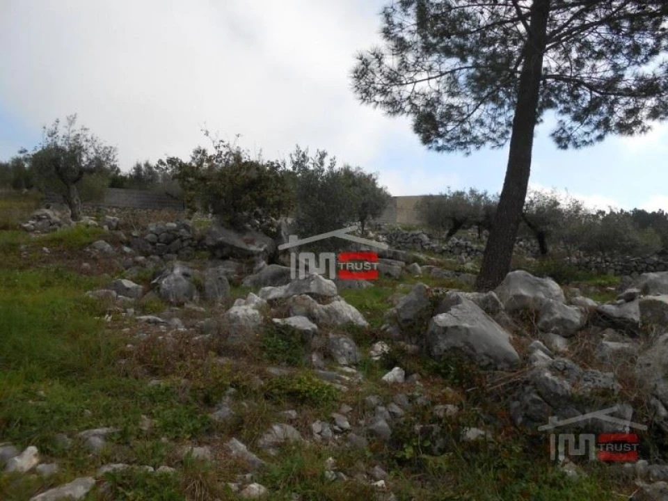 Terreno Misto para Venda em Mira de Aire Foto 8