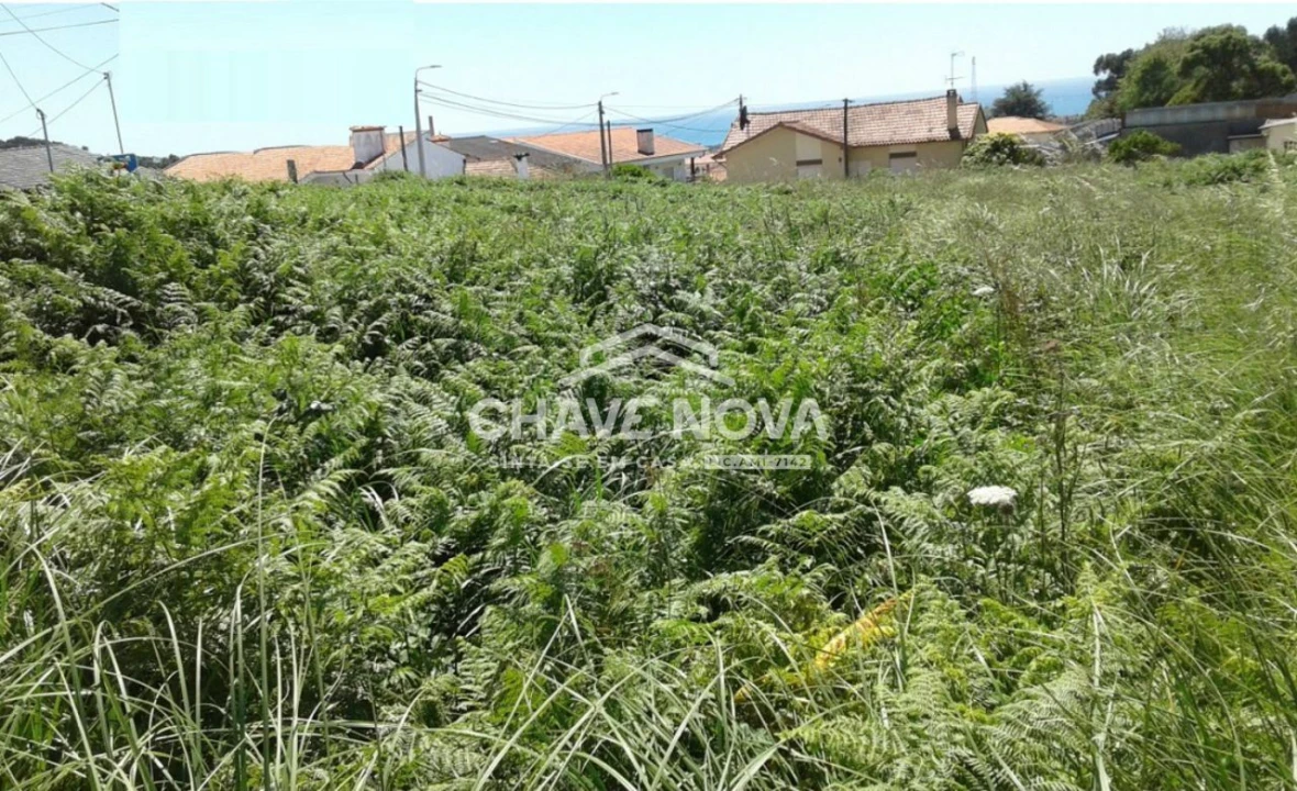 Terreno P/ Prédio para Venda em Arcozelo Foto 2
