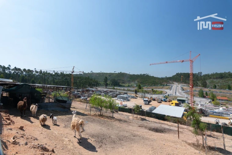 Terreno Agricola ou Rústico para Venda em Sabacheira Foto 6