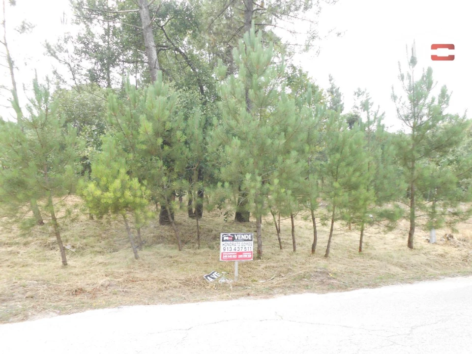 Terreno para Venda em Alqueidão da Serra Foto 3