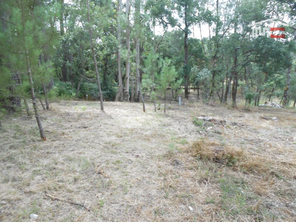 Terreno para Venda em Alqueidão da Serra Foto 7