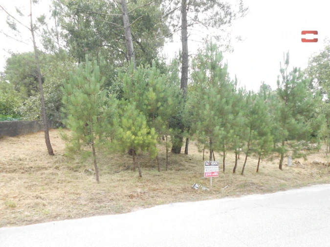 Terreno para Venda em Alqueidão da Serra Foto 2