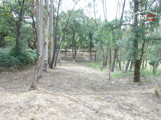 Terreno para Venda em Alqueidão da Serra Foto 8