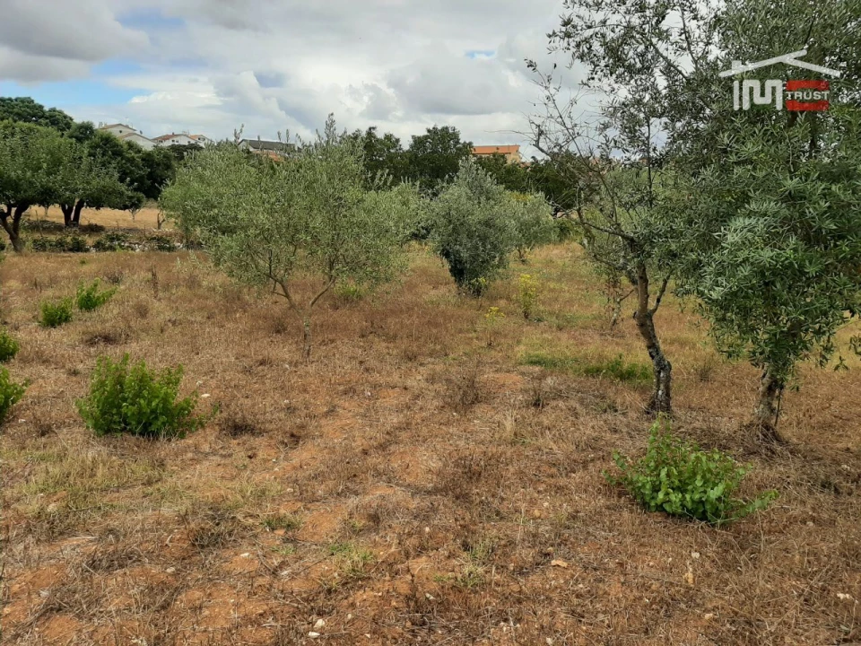 Terreno Agricola ou Rústico para Venda em Fatima Foto 4