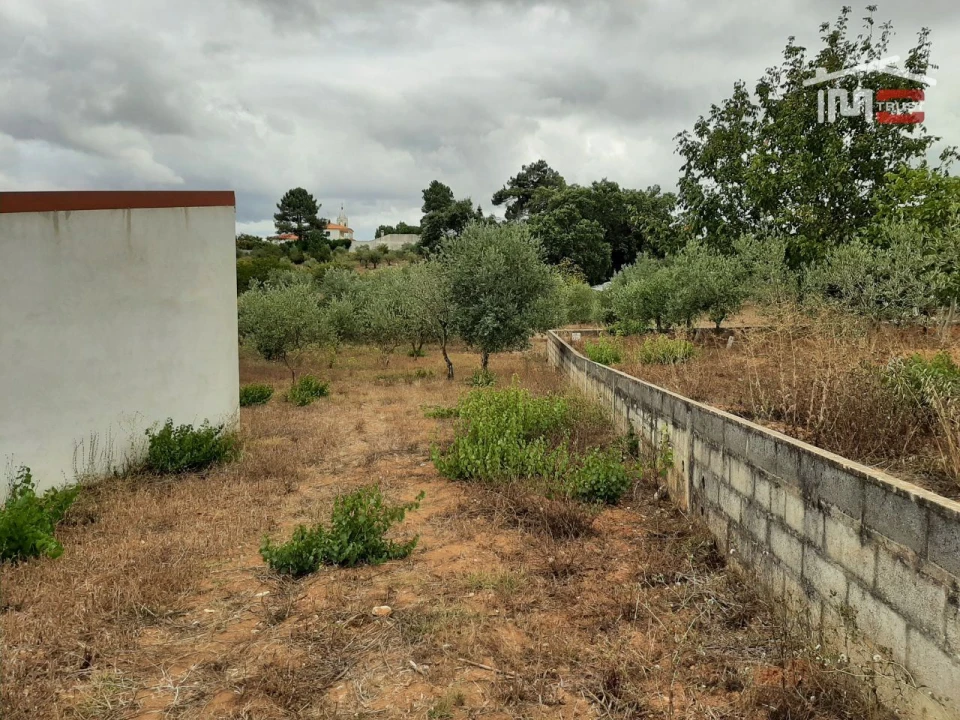 Terreno Agricola ou Rústico para Venda em Fatima Foto 6