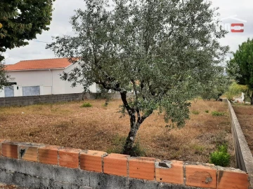 Terreno Agricola ou Rústico para Venda em Fatima